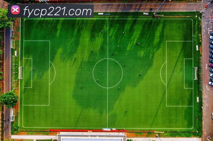 奖项证书